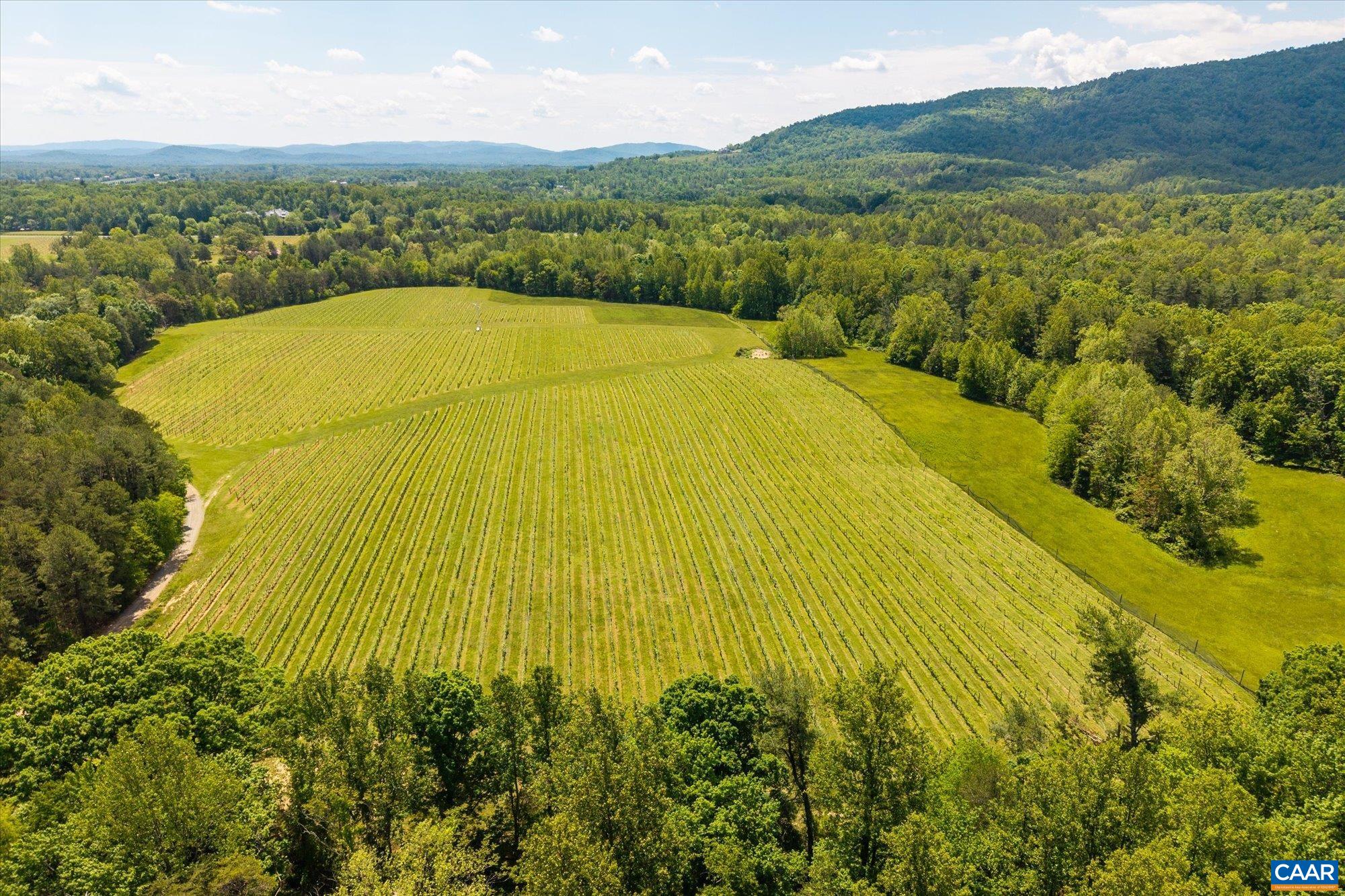 5190 Sugar Ridge Road Crozet, VA 22932 - Photo 64 of 69