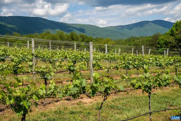 $8,800,000 | 5190 Sugar Ridge Road, Crozet, VA 22932