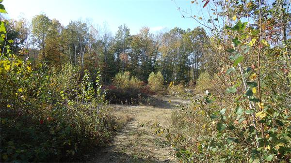 100 N Road Westhampton, MA 01027 - Photo 5 of 6 Gallery Image 5
