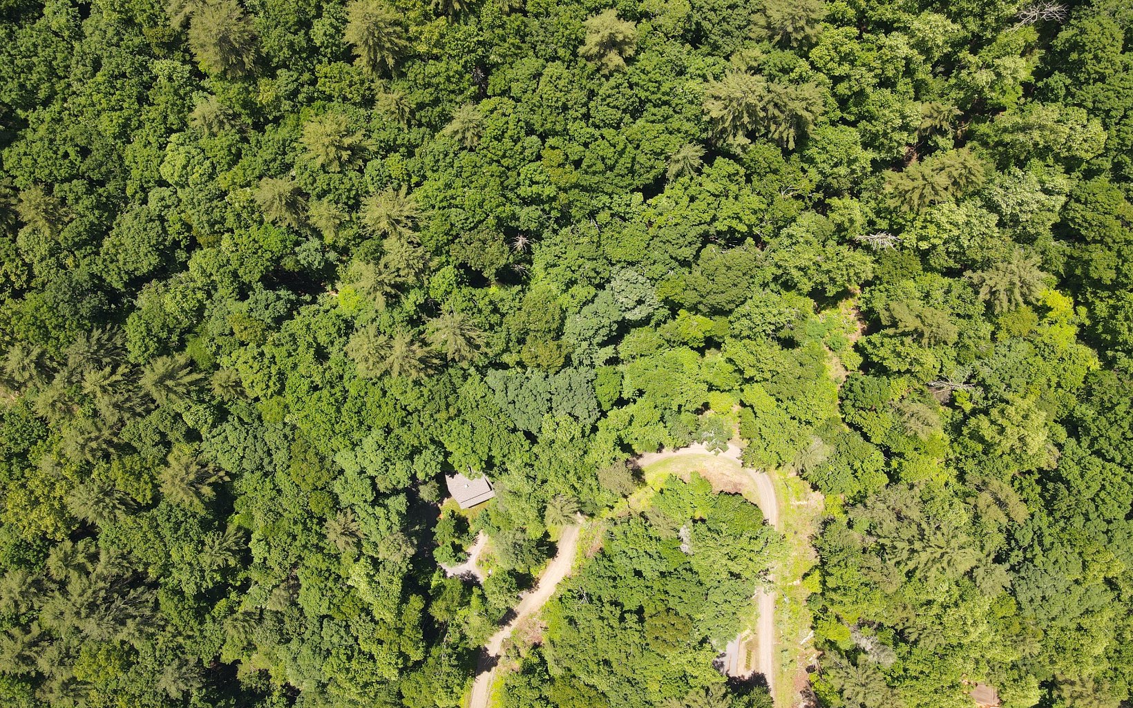 3 Cindy Cove Road Blairsville, GA 30512 - Photo 15 of 19 Additional View