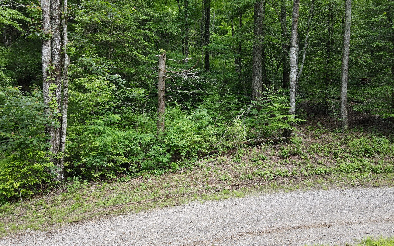 3 Cindy Cove Road Blairsville, GA 30512 - Photo 6 of 19 Additional View