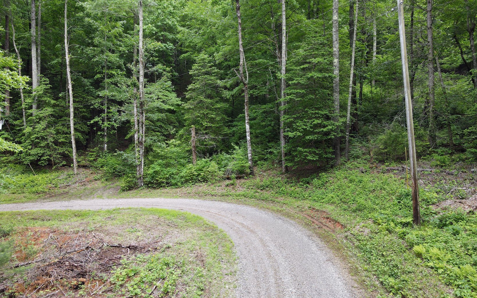 3 Cindy Cove Road Blairsville, GA 30512 - Photo 7 of 19 Additional View