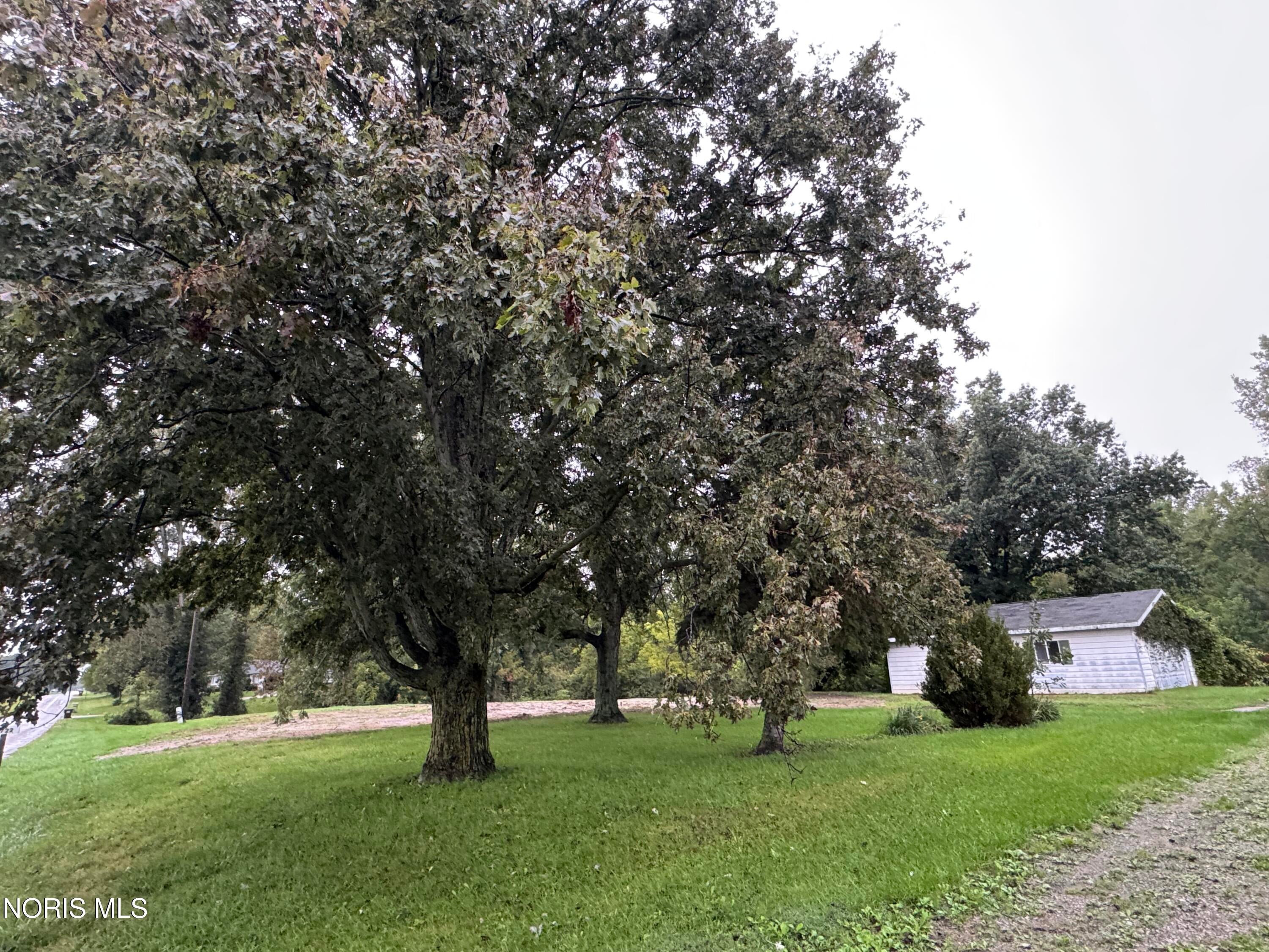 13722 Brindley Road Swanton, OH 43558 - Photo 6 of 9 Gallery Image 6