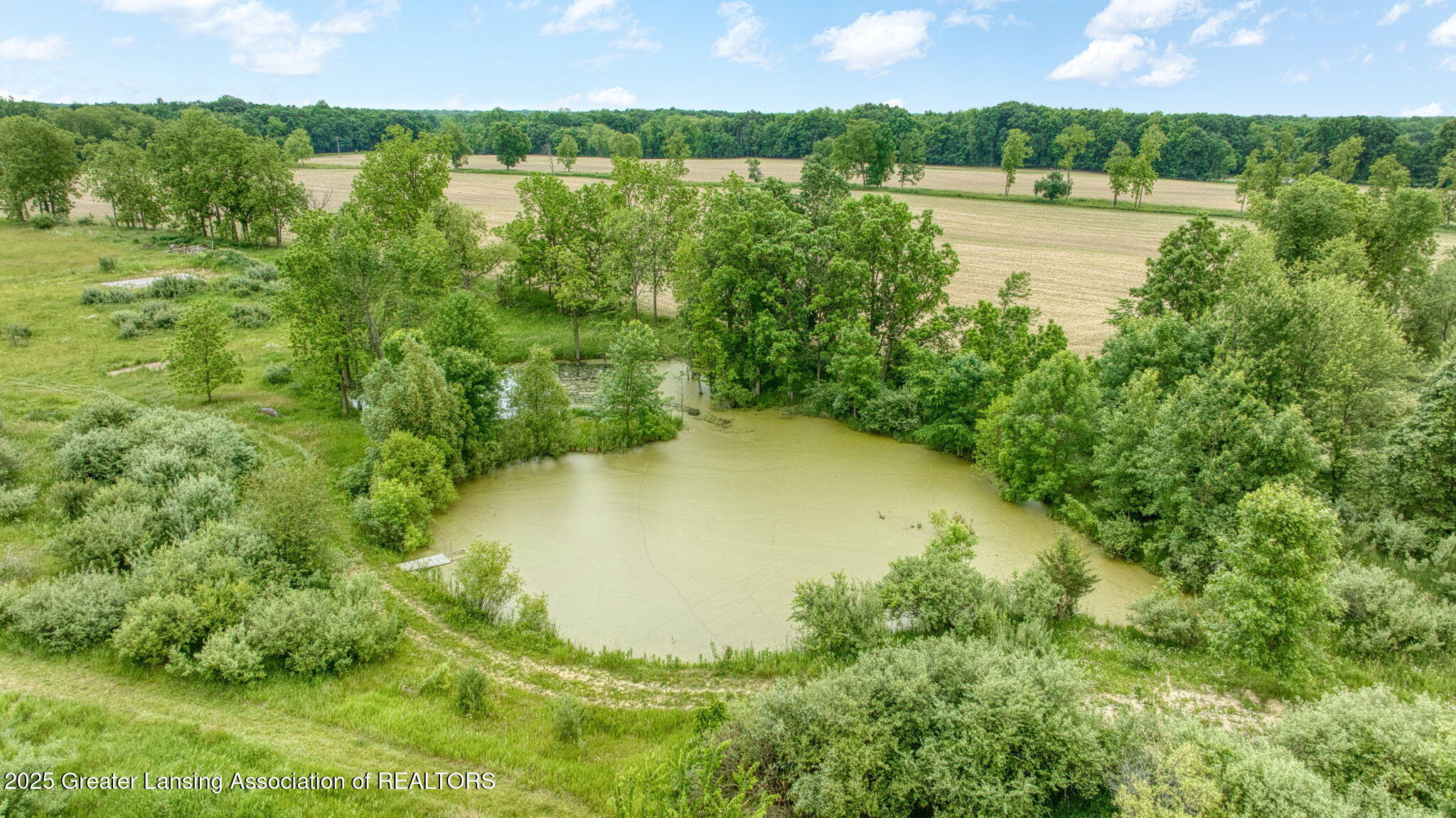 7275 Winegar Road Perry, MI 48872 - Photo 12 of 24 14-web-or-mls-DJI_0741_HDR