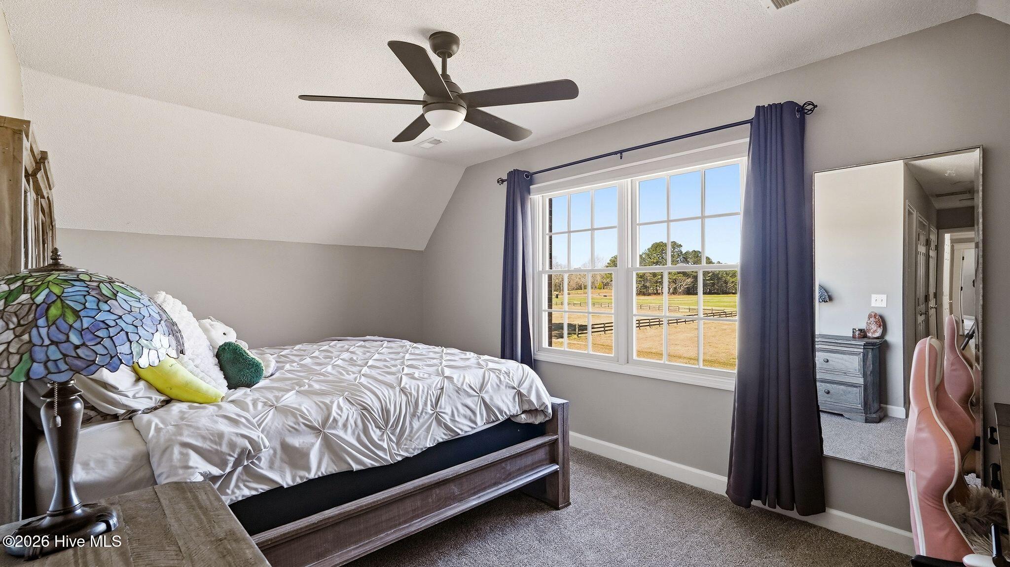 860 Lakebay Road Vass, NC 28394 - Photo 32 of 66 40_DSC00658