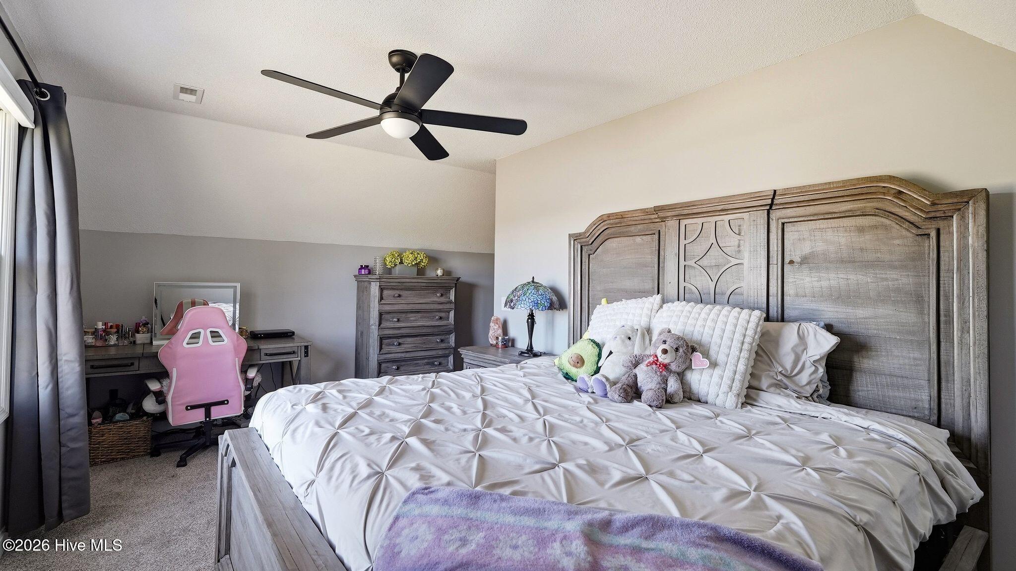 860 Lakebay Road Vass, NC 28394 - Photo 33 of 66 41_DSC00663