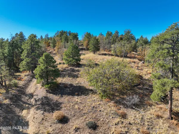 a view of a yard with a tree in the background