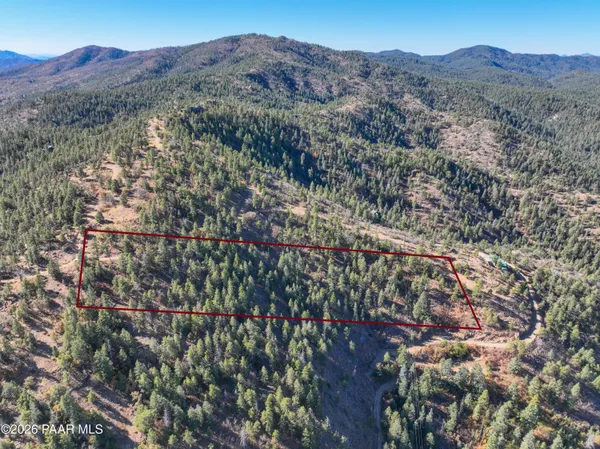 a view of a forest with mountains in the background