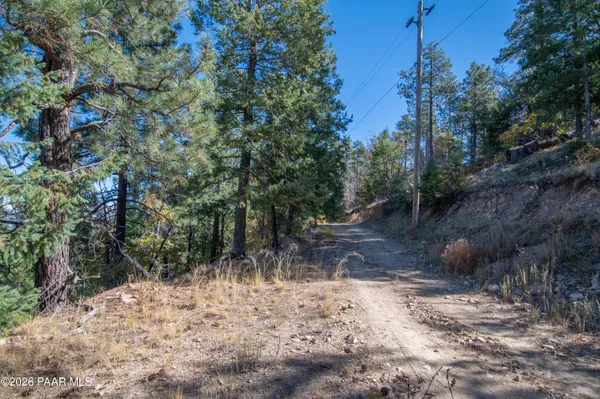 a view of a yard with plants and trees