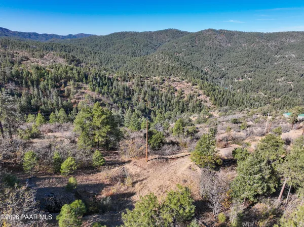 a view of a mountain in the distance in a field