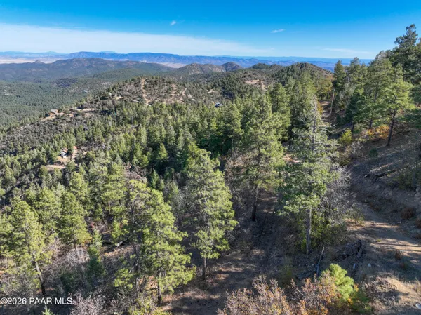 a view of a city with lush green forest