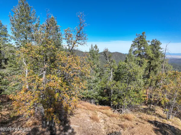 a view of a large building with lots of trees