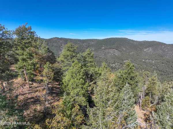 a view of a mountain