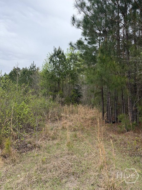 1 Race Path Road Rincon, GA 31326 - Photo 6 of 10