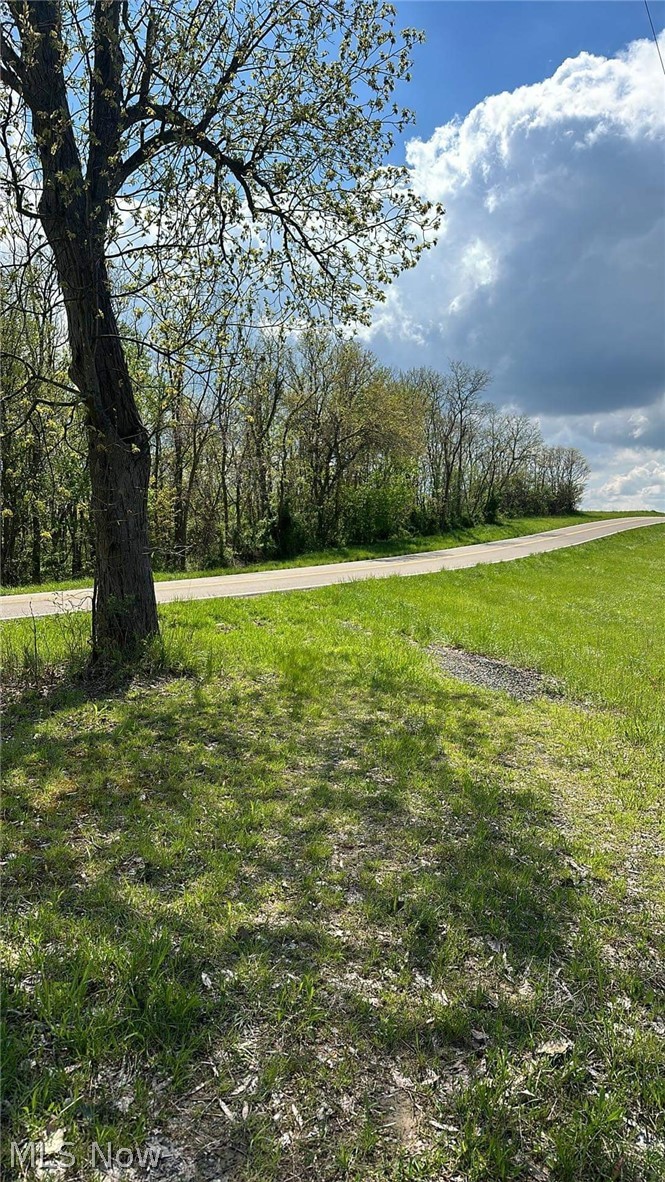 555 South State Route, Unit 13 230 ACRES Chesterhill, OH 43728 - Photo 5 of 20 View of yard
