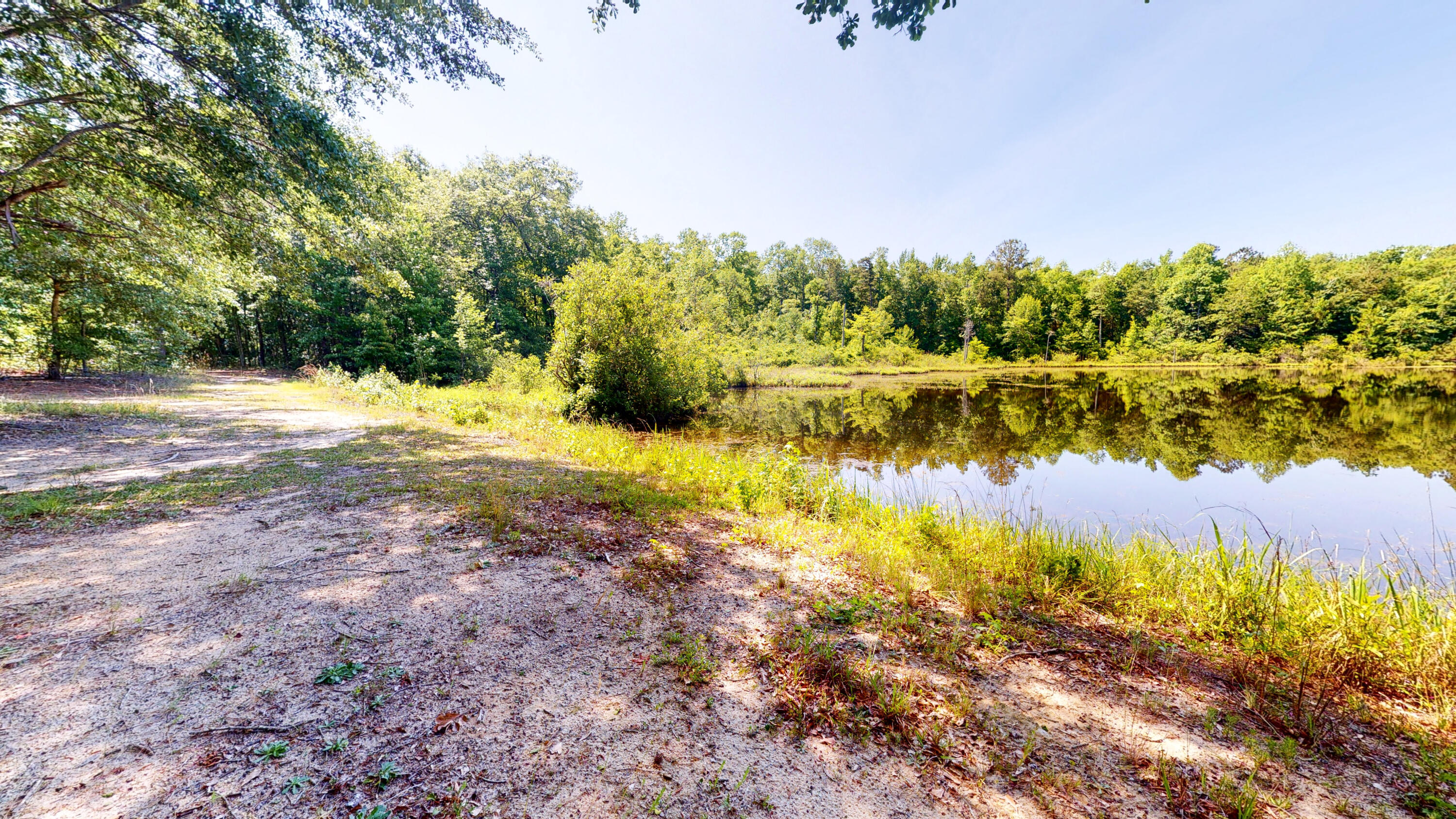 260 Holmes Pond Road Johnston, SC 29832 - Photo 6 of 16