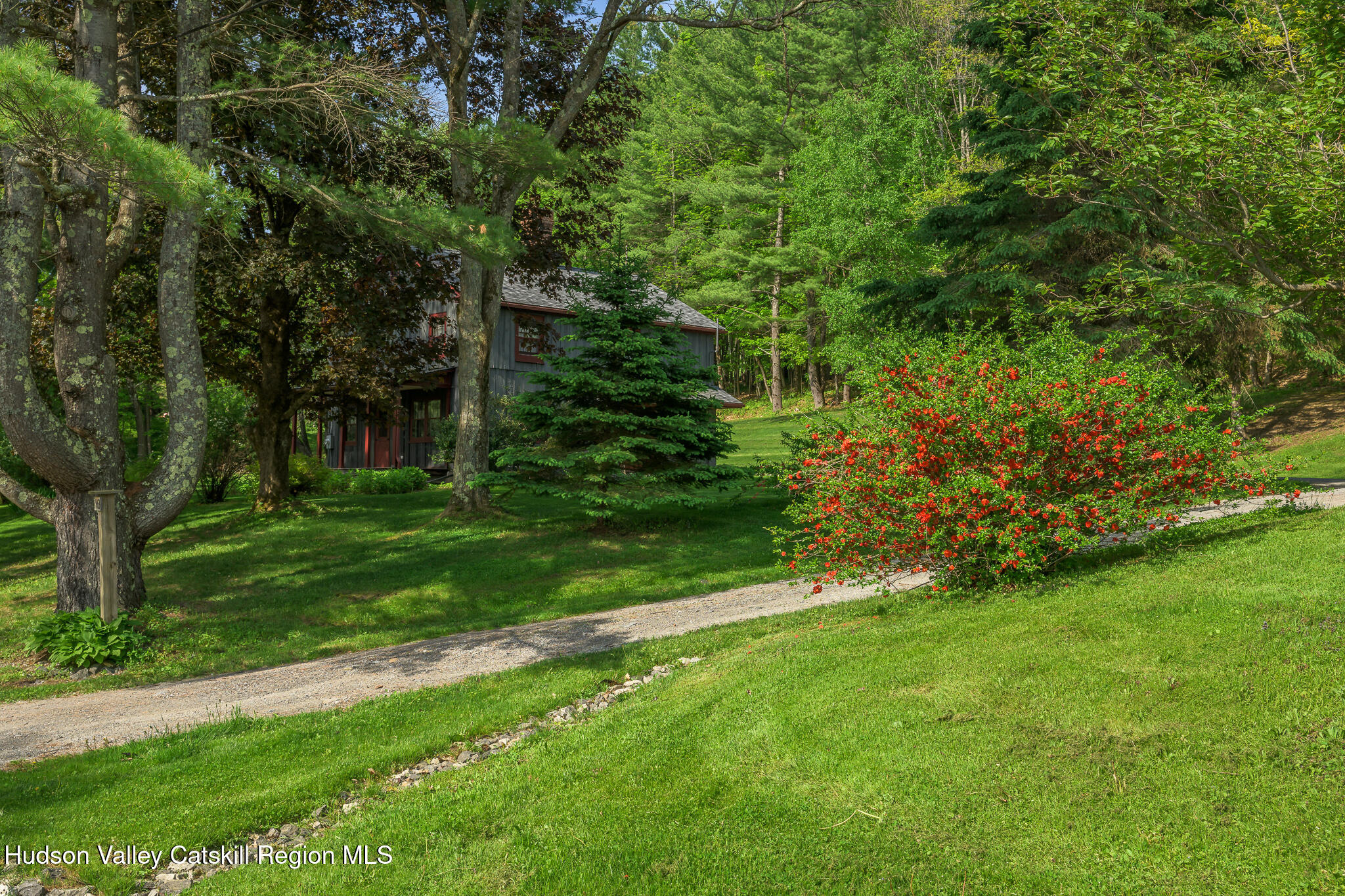 1963 County Rte 5 Canaan, NY 12029 - Photo 4 of 46 a view of a garden with a tree