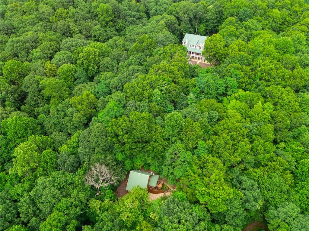 2110 Monument Road Jasper, GA 30143 - Photo 66 of 69