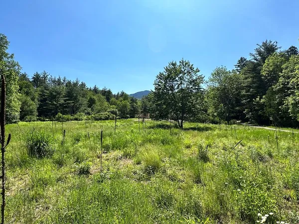 $85,000 | 0 Crowningshield Way, Upper Jay, NY 12987