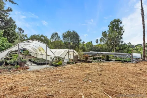 a view of backyard with plants and lake view
