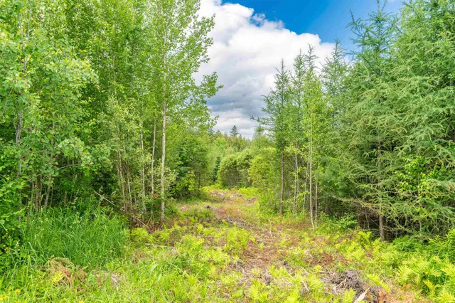 $155,000 | 0 Jefferson Hill Road, South Ryegate, VT 05069