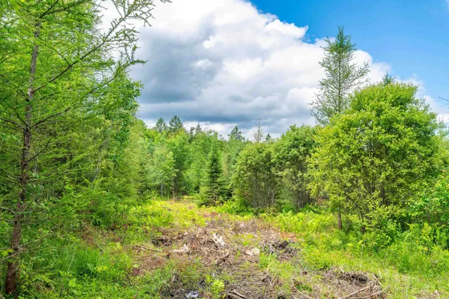 $155,000 | 0 Jefferson Hill Road, South Ryegate, VT 05069