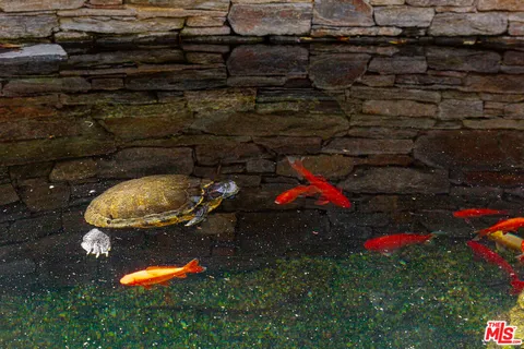 $19,995,000 | 2041 Mandeville Canyon Road, Los Angeles, CA 90049