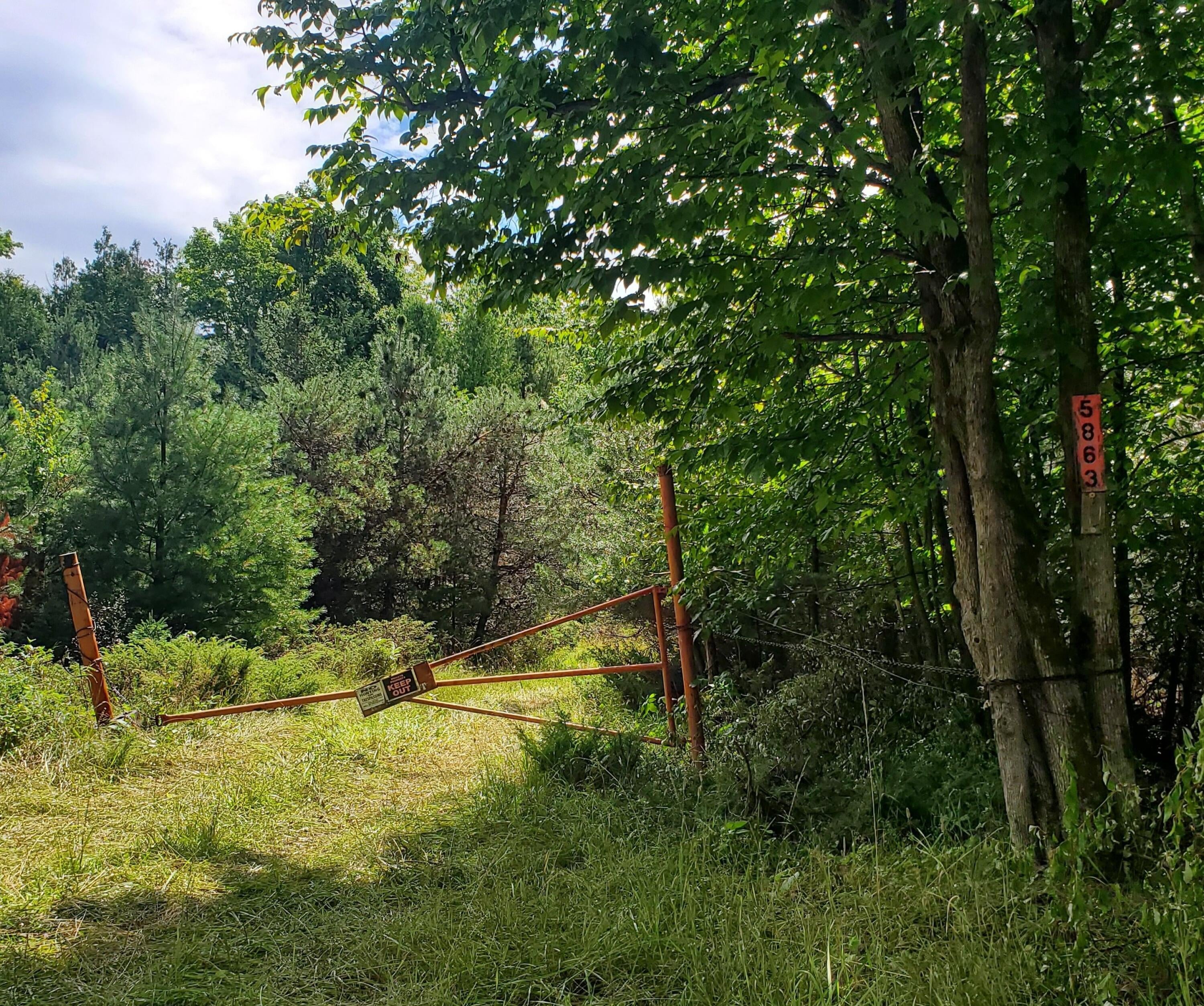 V/l 20-ac Monaghan Point Road Alpena, MI 49707 - Photo 1 of 30 Front gate