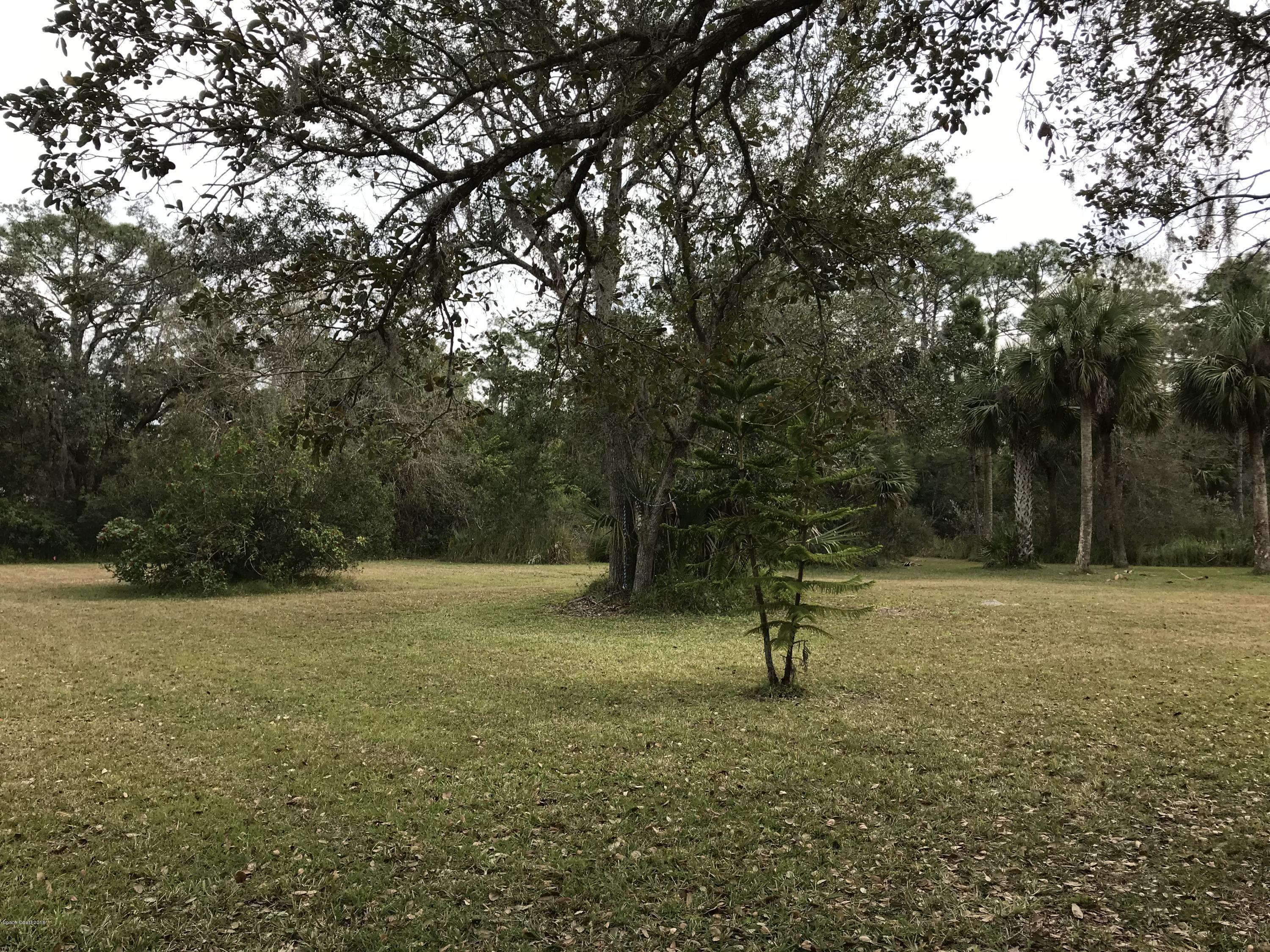 a backyard of a house with a trees