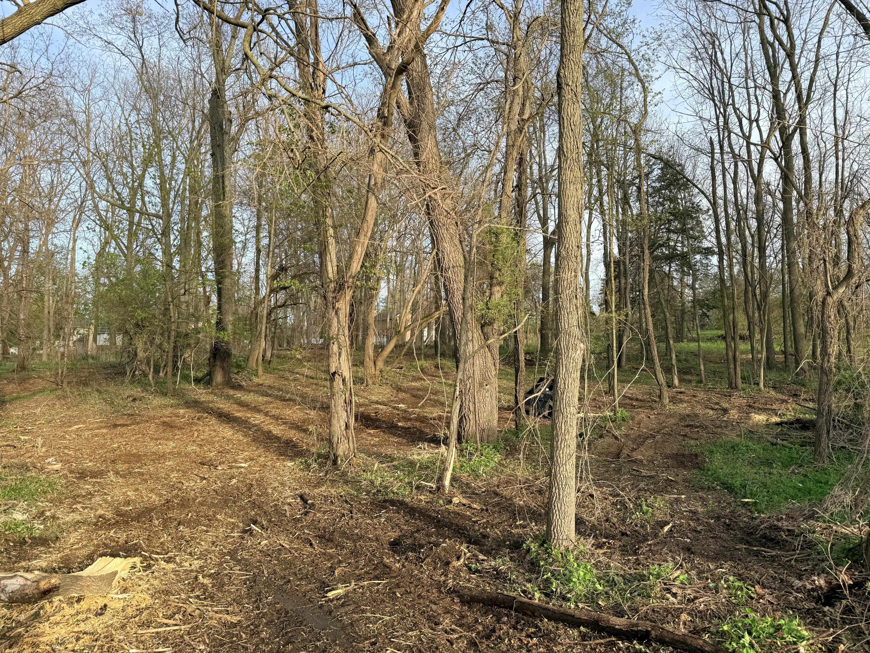 Ernest Street Brooklyn, MI 49230 - Photo 10 of 10 Spring View