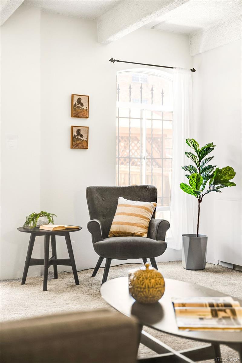 1365 Columbine Street, Unit 103 Denver, CO 80206 - Photo 7 of 35