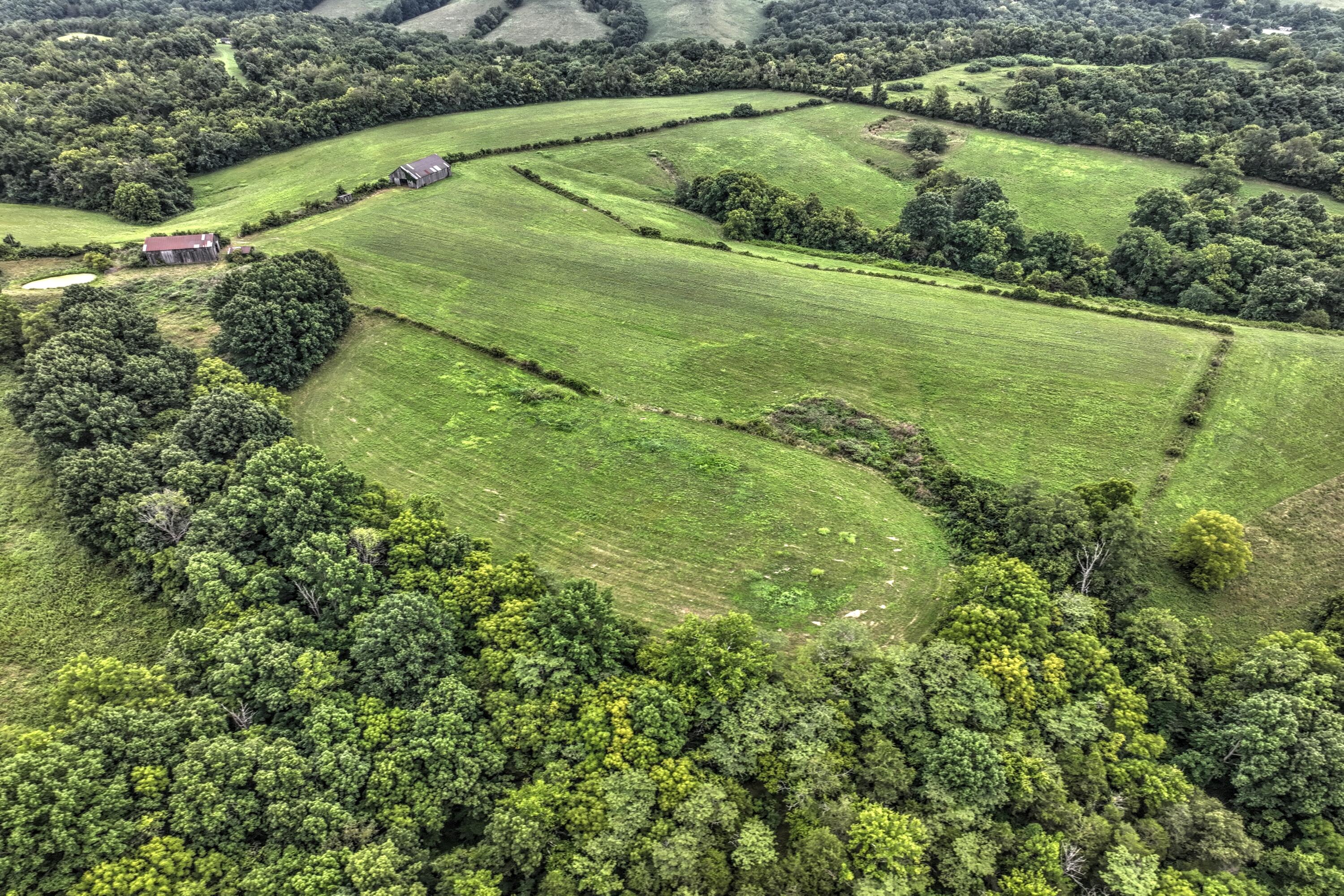 317 Cane Run Road Carlisle, KY 40311 - Photo 27 of 74 DJI_0121_2_3