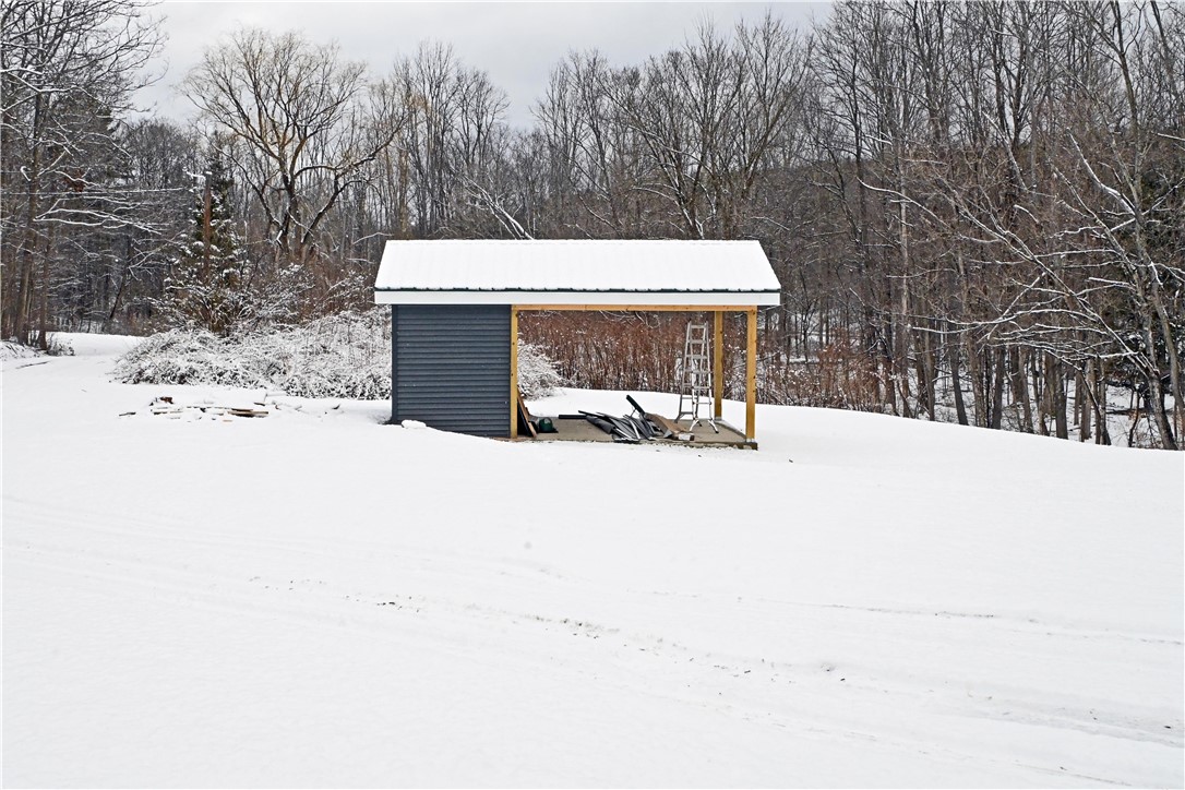 268 Laurel Hill Road Erin, NY 14838 - Photo 2 of 17 Well Pump House