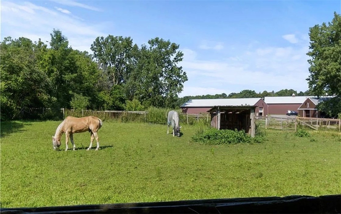 1647 Salt Road Penfield, NY 14526 - Photo 36 of 36