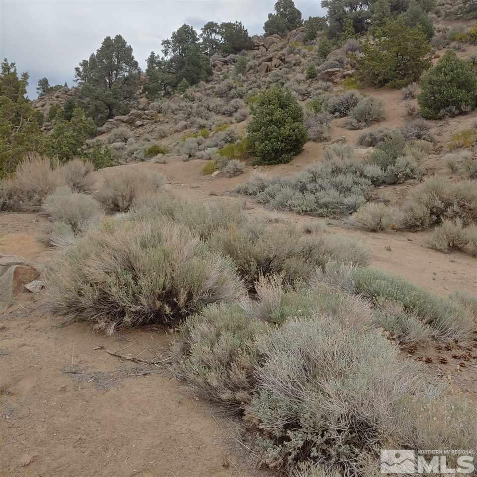 0 Virginia Foothills Drive Reno, NV 89521 - Photo 6 of 8 Photo 6