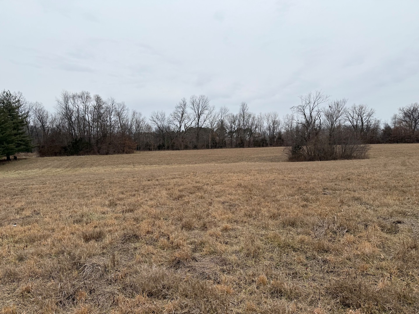 2019 West Main Street Salem, IL 62881 - Photo 4 of 6