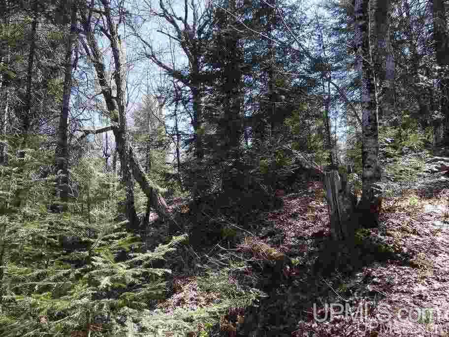 Tbd Celotex Road Michigamme, MI 49946 - Photo 22 of 25
