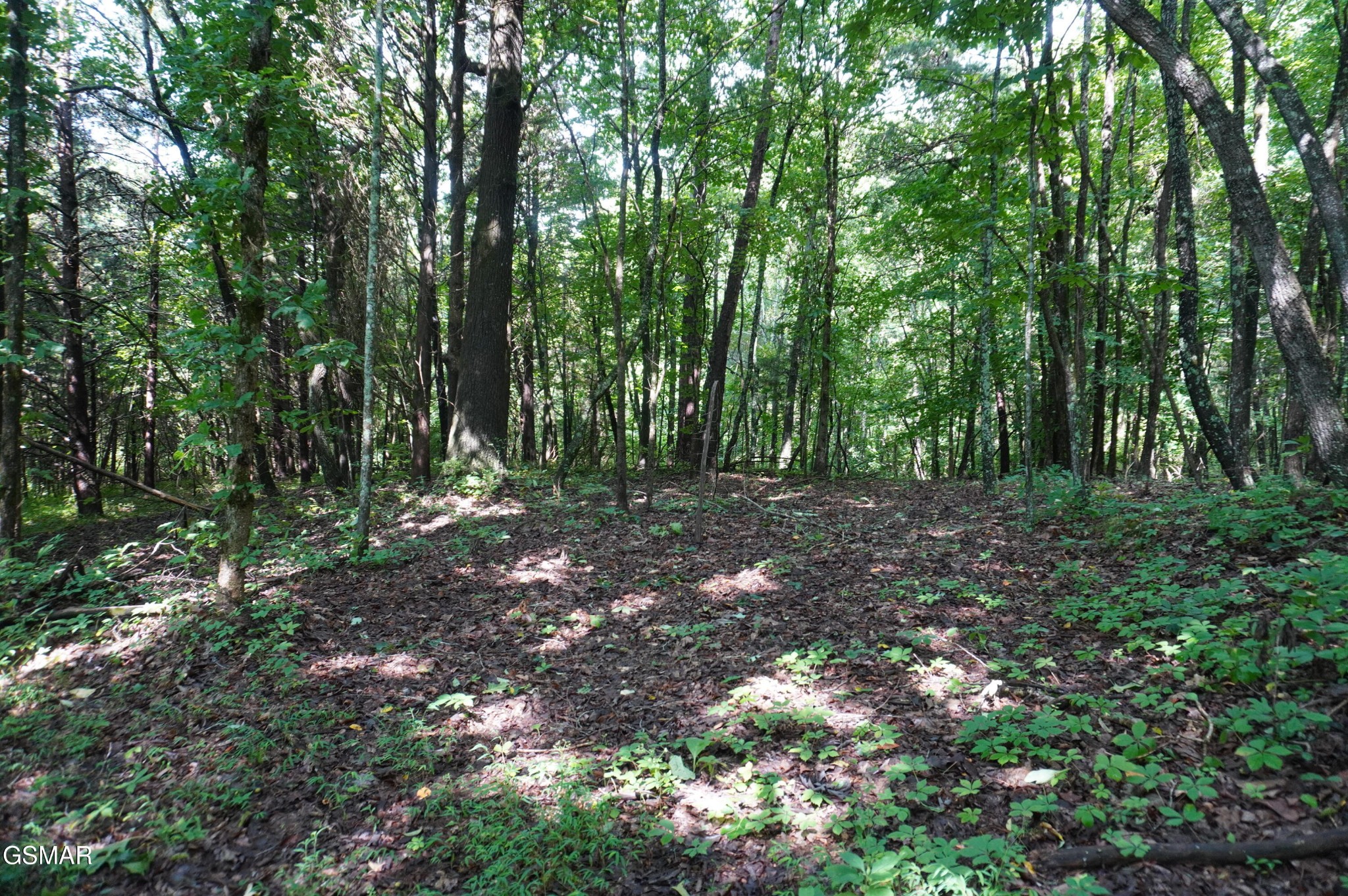 17 Pleasant View Cemetery Road New Market, TN 37820 - Photo 23 of 65 Gallery Image 23