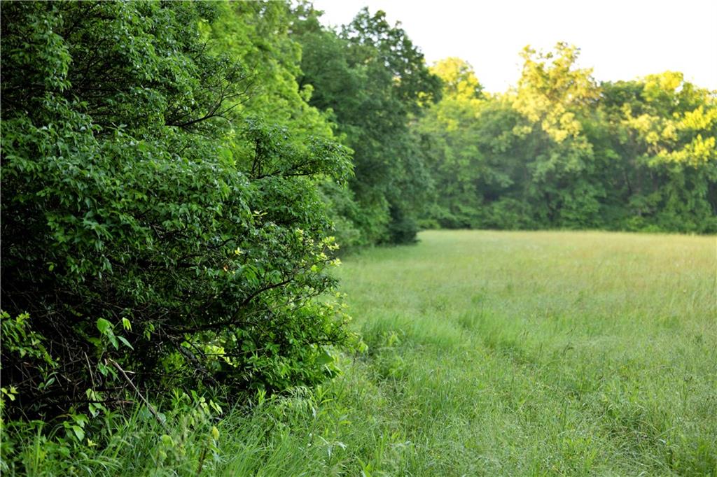 Wilderness Camp Road Lawson, MO 64062 - Photo 32 of 90