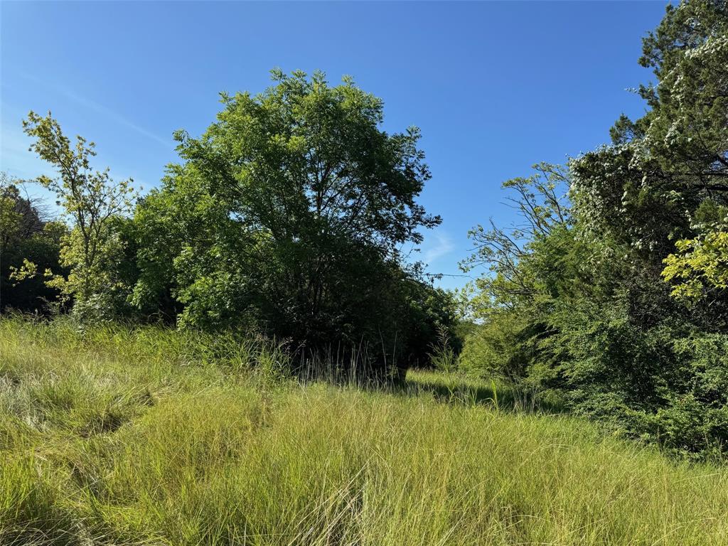 1156 Ridge Drive South Cleburne, TX 76033 - Photo 3 of 6 a view of a garden