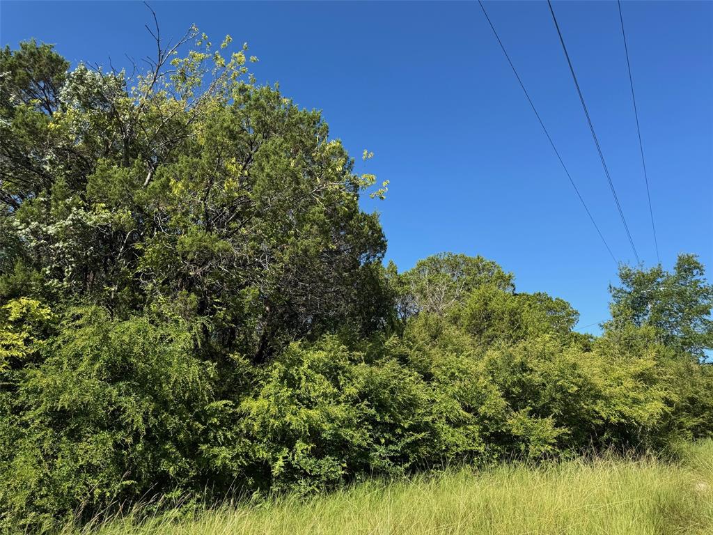 1156 Ridge Drive South Cleburne, TX 76033 - Photo 4 of 6 a view of a garden