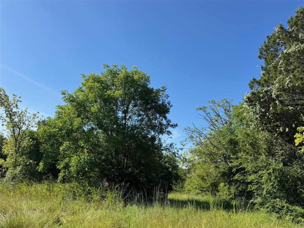 1156 Ridge Drive South Cleburne, TX 76033 - Photo 5 of 6 a view of a garden
