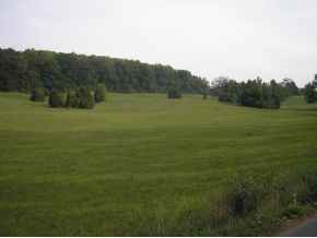Lot 5 Happy Valley Road, Unit 5 Limestone, TN 37681 - Photo 1 of 1 Photo 1