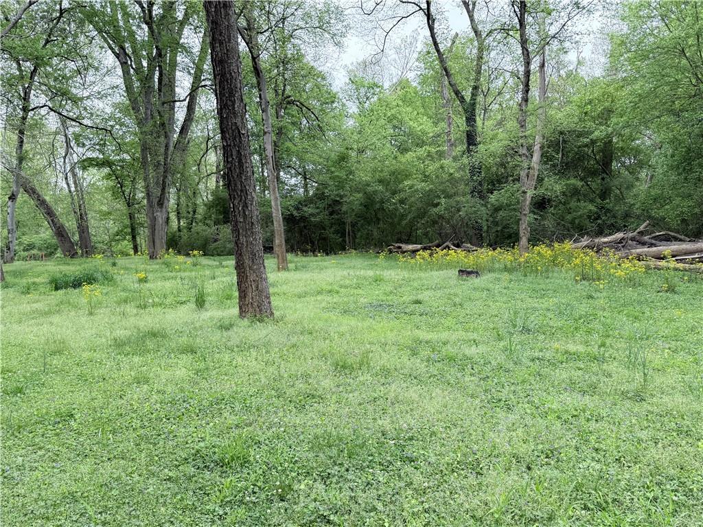 3033 Riviera Drive Conyers, GA 30012 - Photo 71 of 79 a big yard with lots of green space and deers