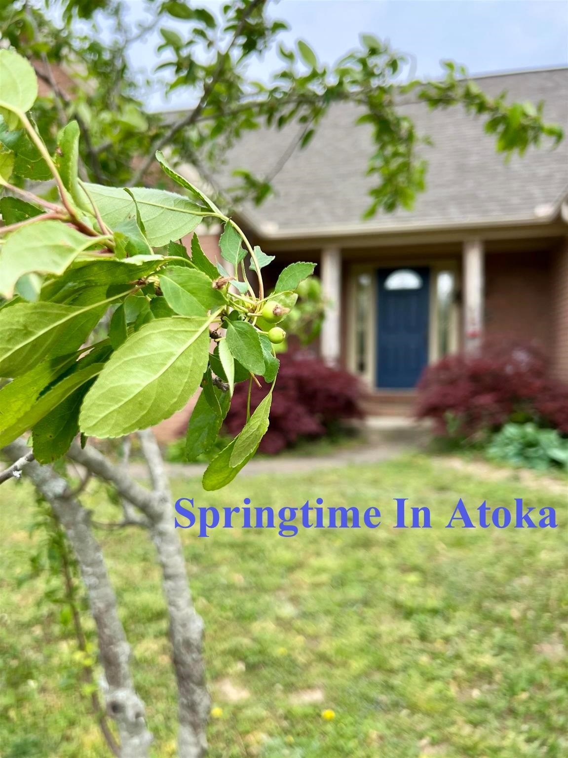 380 Bethel Road Atoka, TN 38004 - Photo 1 of 36 Exterior space with a shingled roof