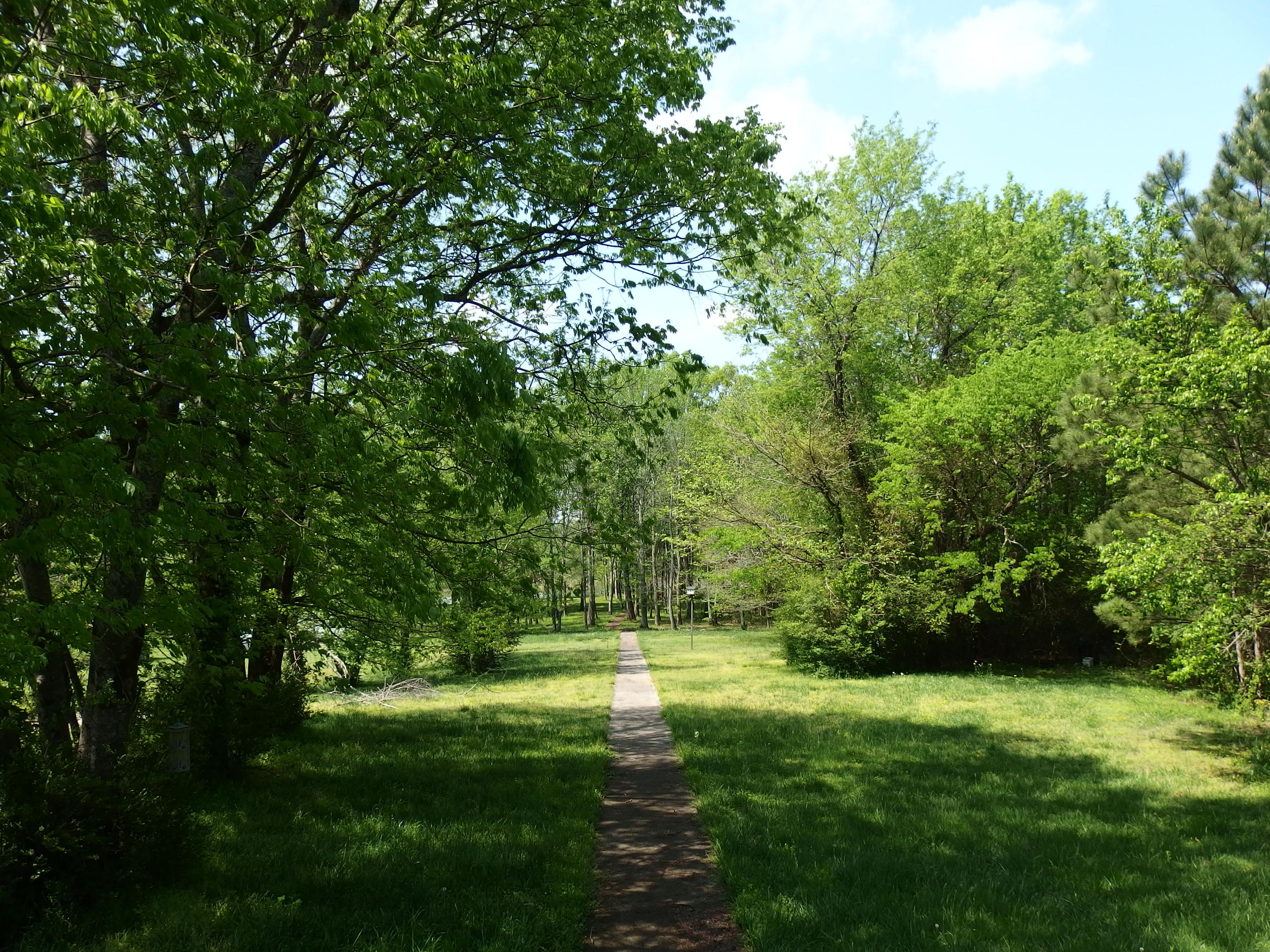 5124 Lamontville Road Decatur, TN 37322 - Photo 8 of 26 P4200852