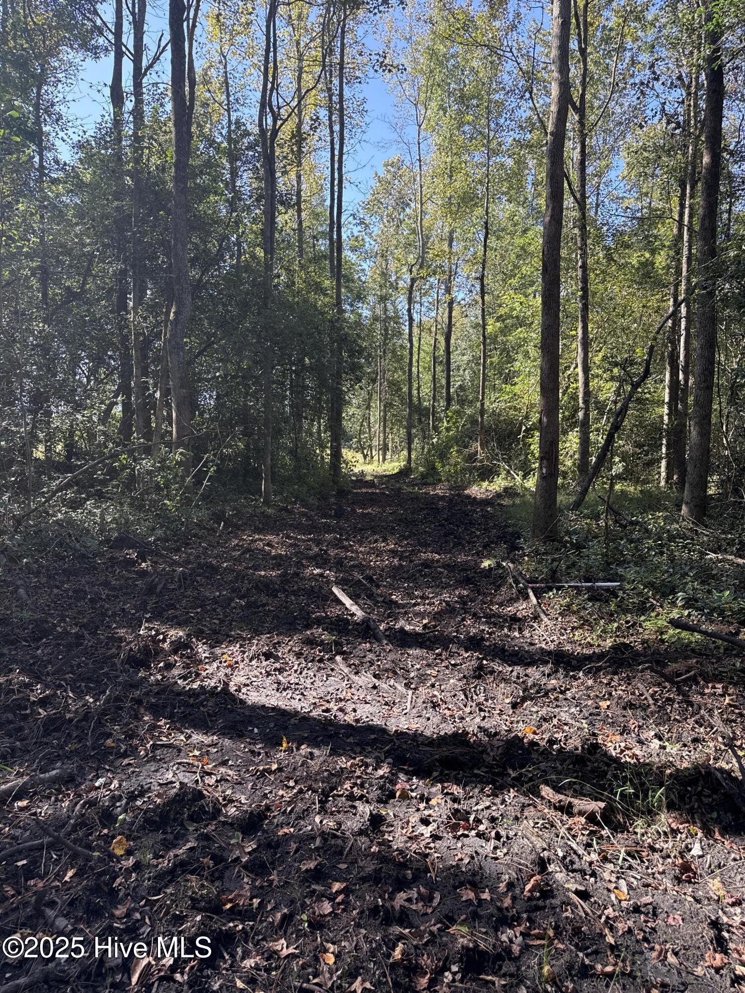 Off Earl Price Road Deep Run, NC 28525 - Photo 11 of 18 DJI_20251003_104534_226