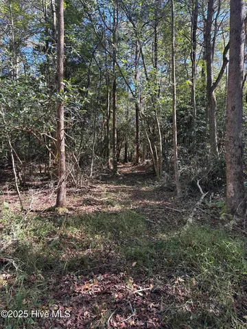 $140,000 | Off Earl Price Road, Deep Run, NC 28525