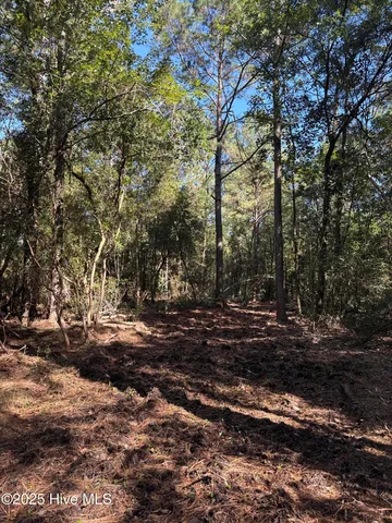 $140,000 | Off Earl Price Road, Deep Run, NC 28525