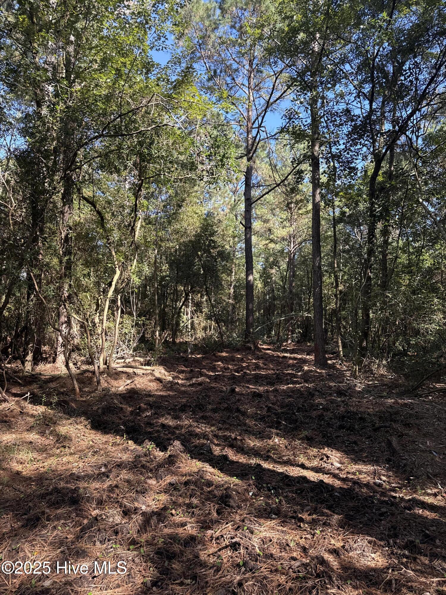 Off Earl Price Road Deep Run, NC 28525 - Photo 15 of 18 DJI_20251003_104741_039